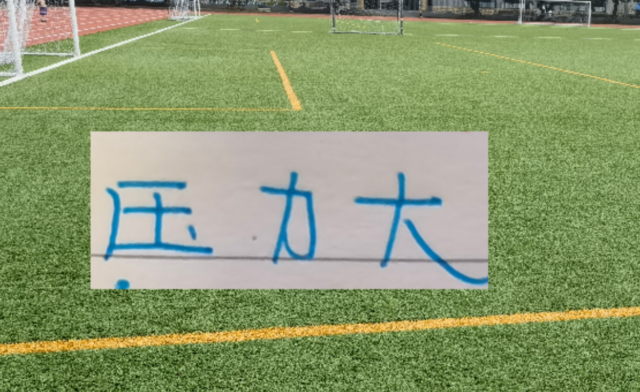 华体会官网APP-冰火两重天！四大澳洲教头 浙江跟北京国安主帅不好过 谁会先下课